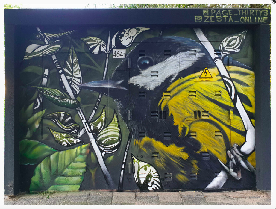 S15: VALKENBOSKADE 464