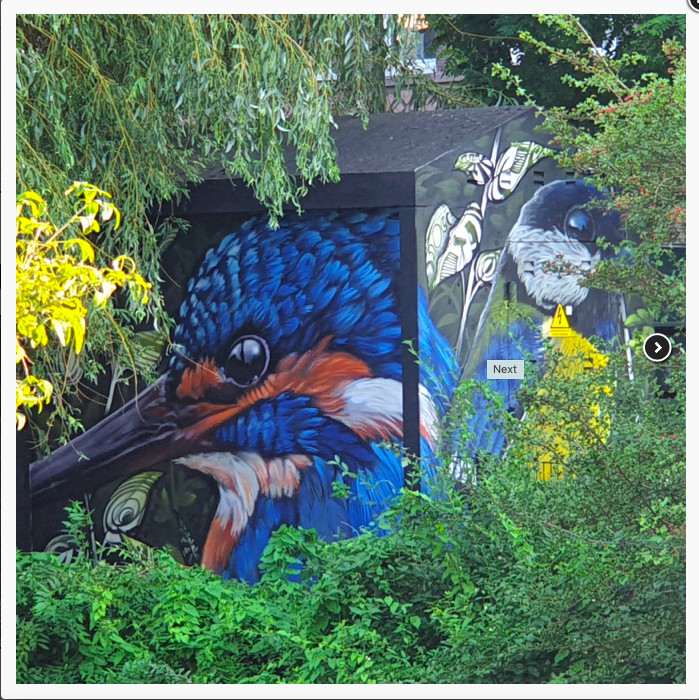 S15: VALKENBOSKADE 464