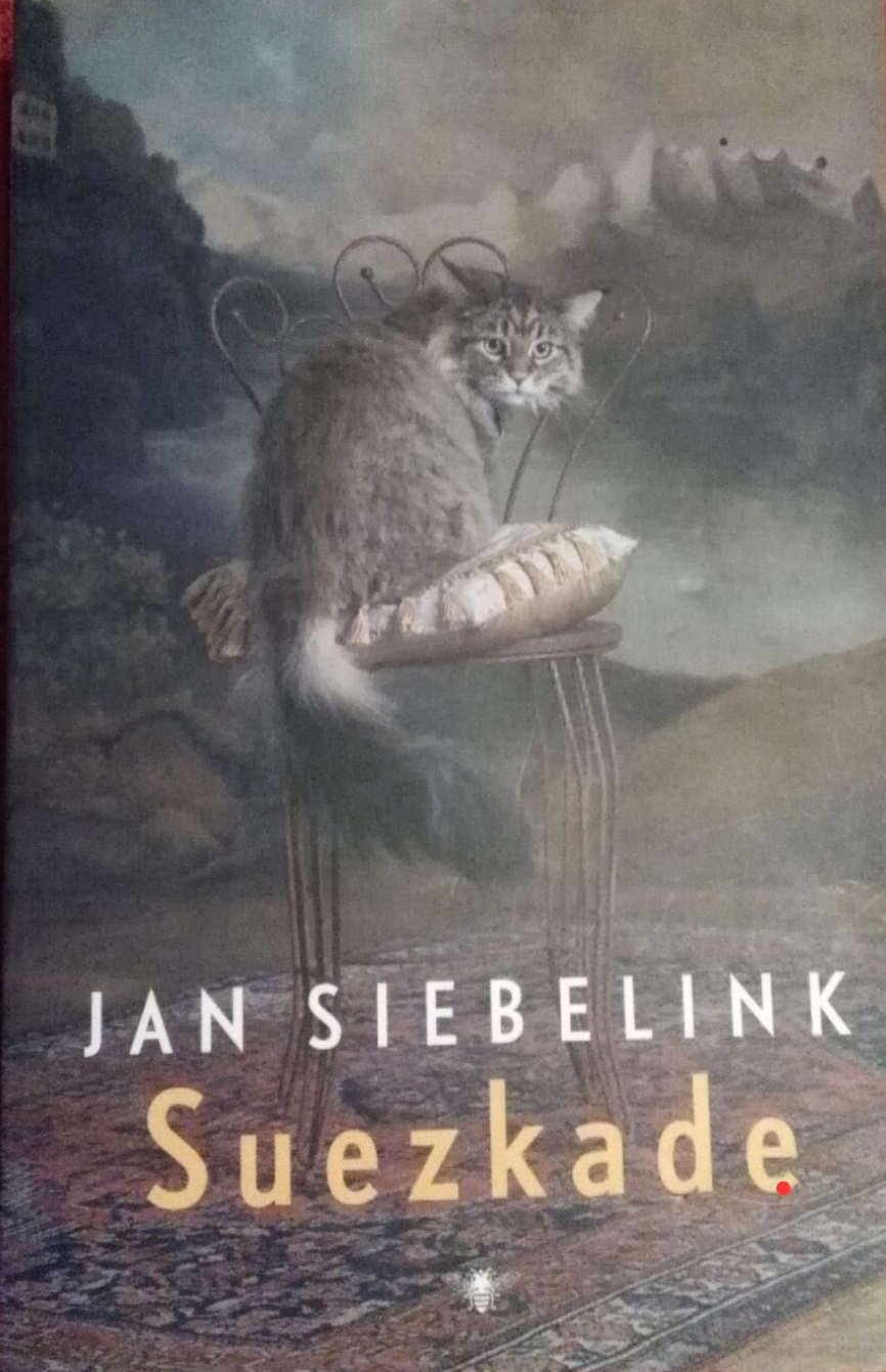 Het boek Suezkade van Jan Siebelink.
